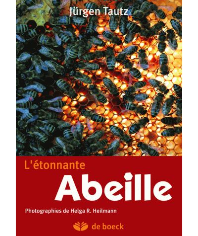 L'étonnante abeille