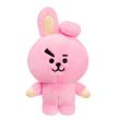 Peluche BTS Cooky