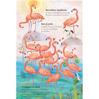 Nos incroyables oiseaux du monde