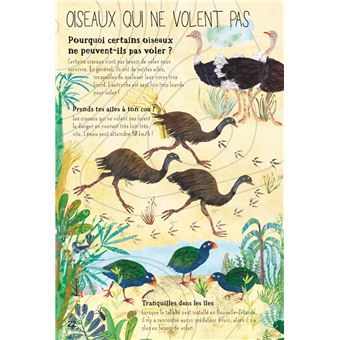 Nos incroyables oiseaux du monde