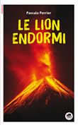 Lion endormi (le)