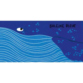 Animaux sans queue ni tête