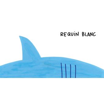 Animaux sans queue ni tête