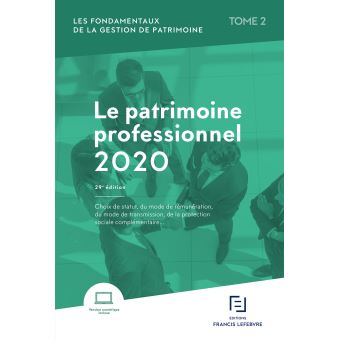 Patrimoine Professionnel 2020