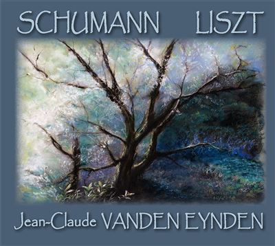 Fantaisie Opus 17 Sonate S 178