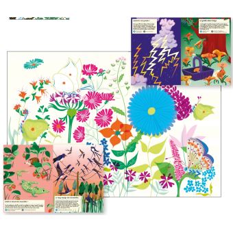 Faune et flore de l'été