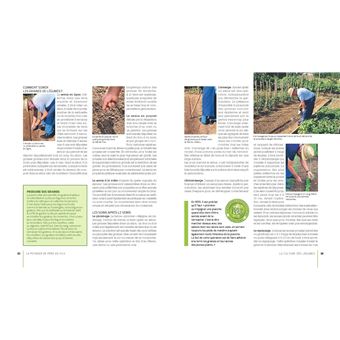 Le Potager de père en fils