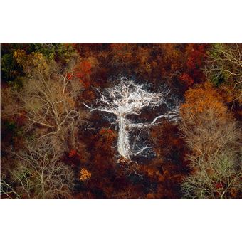 La Terre vue du ciel (nvelle édition)