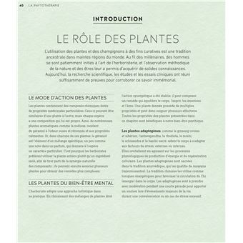 La Bible de l'harmonie intérieure