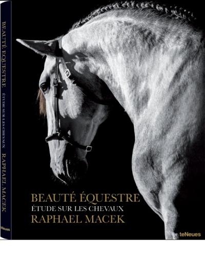 Beauté Equestre - Etude sur les chevaux