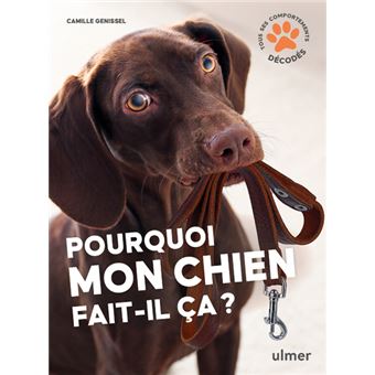 Pourquoi mon chien fait-il ça?