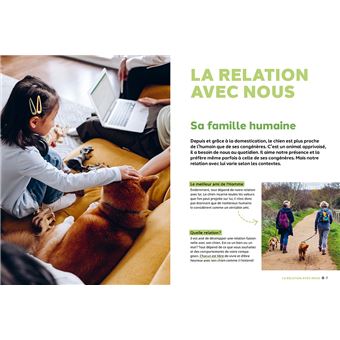 Pourquoi mon chien fait-il ça?