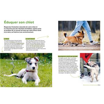 Pourquoi mon chien fait-il ça?