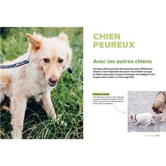 Pourquoi mon chien fait-il ça?