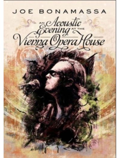An Acoustic Evening At The Vienna Opera House