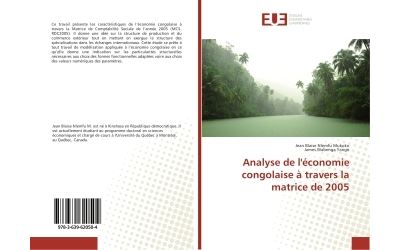 Analyse de l'economie congolaise a travers la matrice de 200