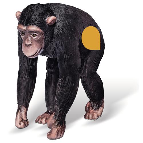 Figurine Chimpanzé Tiptoi Ravensburger