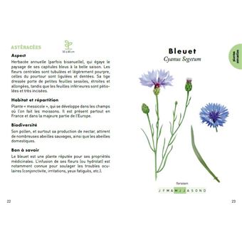 Le Petit Guide des plantes à abeilles - 70 espèces mellifères à découvrir