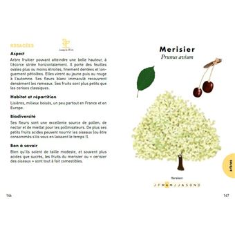 Le Petit Guide des plantes à abeilles - 70 espèces mellifères à découvrir