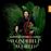 Wonderful world (2cd)