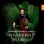 Wonderful world (2cd)