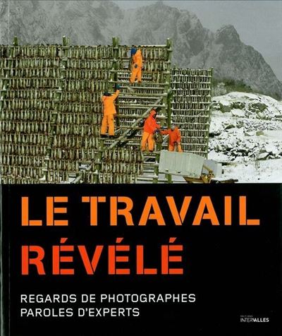 Le Travail Revele -  Collectif - broché