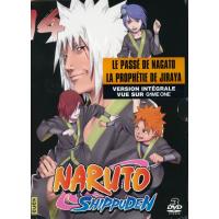 DVD NARUTO SHIPPUDEN V9 - DVD COFFRET 3 (NARUTO SHIPPUDEN, 9) (Edição  Francesa)