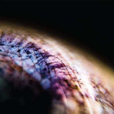 SKIN/LP