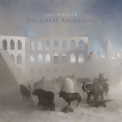 The Great Awakening
