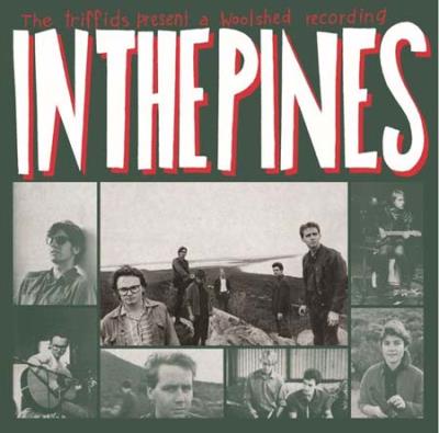 THE PINES