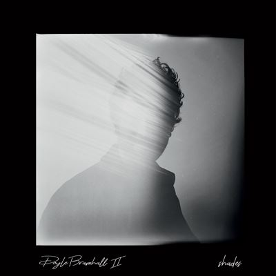 SHADES/2LP