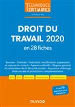 Droit du travail 2020 en 28 fiches