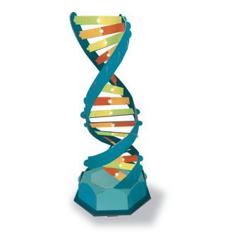 A la découverte de la science !