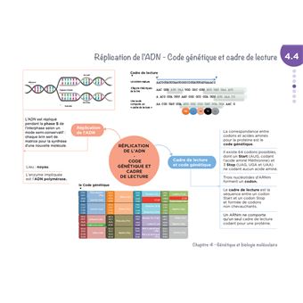 Diplôme Infirmier - IFSI - Cartes mentales - UE 2.1 - Biologie fondamentale