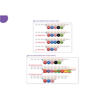 Diplôme Infirmier - IFSI - Cartes mentales - UE 2.1 - Biologie fondamentale