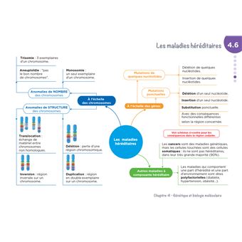 Diplôme Infirmier - IFSI - Cartes mentales - UE 2.1 - Biologie fondamentale