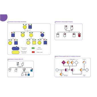 Diplôme Infirmier - IFSI - Cartes mentales - UE 2.1 - Biologie fondamentale