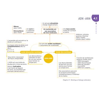 Diplôme Infirmier - IFSI - Cartes mentales - UE 2.1 - Biologie fondamentale