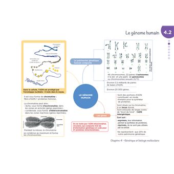 Diplôme Infirmier - IFSI - Cartes mentales - UE 2.1 - Biologie fondamentale