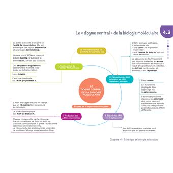 Diplôme Infirmier - IFSI - Cartes mentales - UE 2.1 - Biologie fondamentale