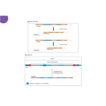 Diplôme Infirmier - IFSI - Cartes mentales - UE 2.1 - Biologie fondamentale