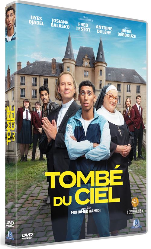 Tombé du ciel en DVD
