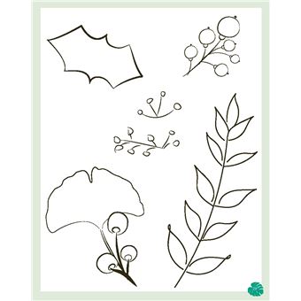 Coffret Mes jolies plantes