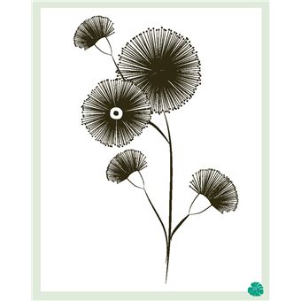 Coffret Mes jolies plantes