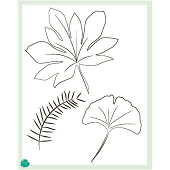 Coffret Mes jolies plantes