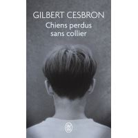 Chiens perdus sans collier