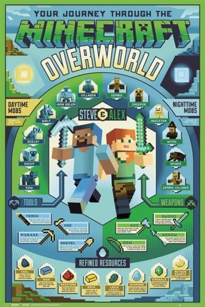 Poster Minecraft Overworld Biome