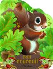 Petit écureuil