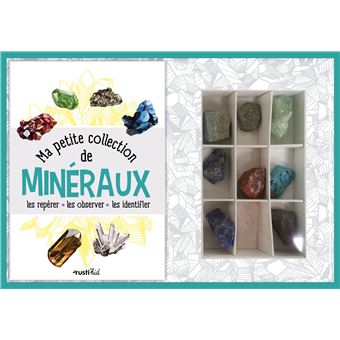 25 pierres précieuses incluses Daz Collection de pierres minérales pour enfants Dr 