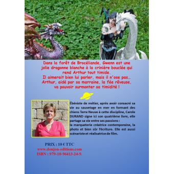 Arthur, le dragon timide et les fées